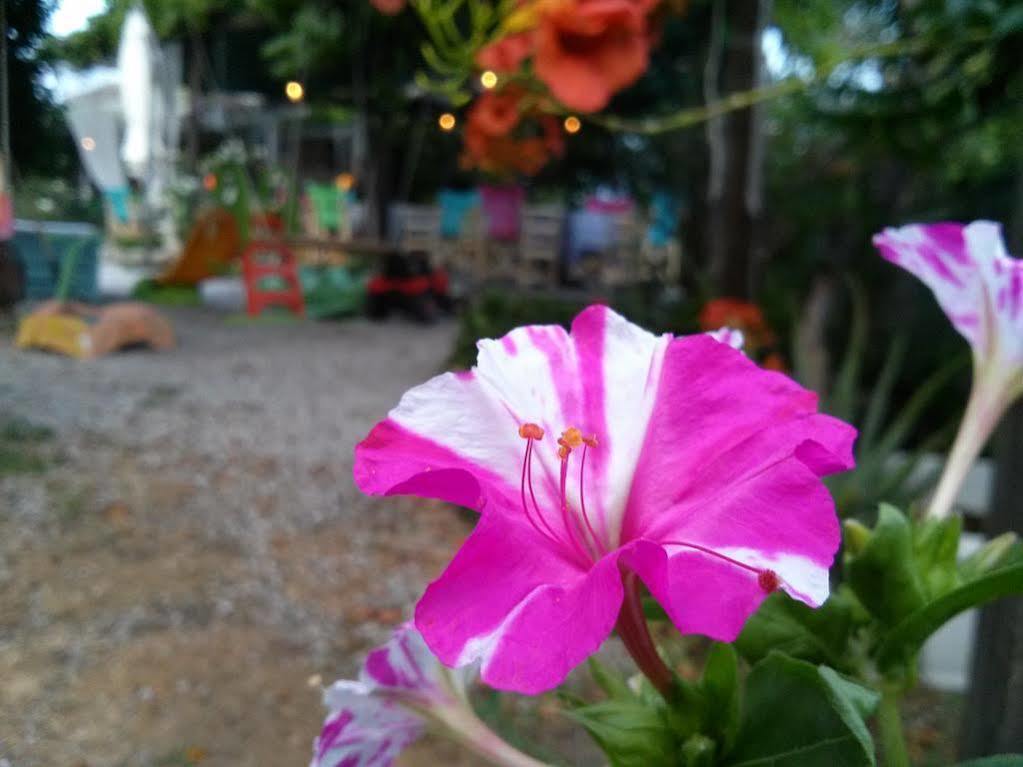 Odos Kentavron Hotel Tsagkarada Buitenkant foto
