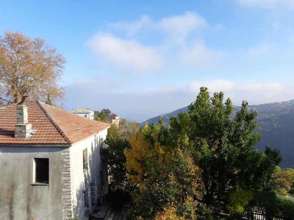 Odos Kentavron Hotel Tsagkarada Buitenkant foto